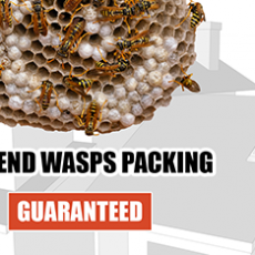 wasp-control-logo